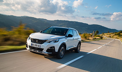 Den bäste co-drivern